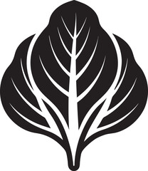 Spinach silhouette icon on White Background.
