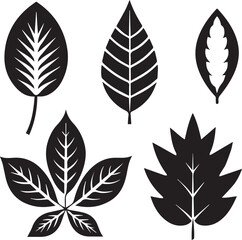 set of leaves, set of leaves vector illustration, set of leaves silhouette vector black and white
