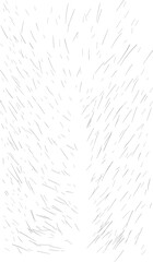 white paper texture
