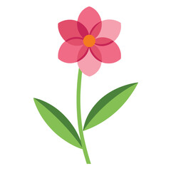 Beautiful pink flower blossom isolated on white, a spring floral beauty