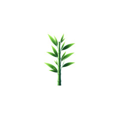 Fototapeta premium Realistic 3D Bamboo Tree Isolated on Transparent Background