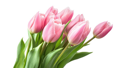 Naklejka premium A vibrant bouquet of pink tulips arranged elegantly, showcasing their beauty against a soft, blurred background
