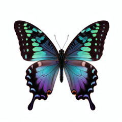 Vibrant iridescent butterfly with teal and purple wings isolated on white background