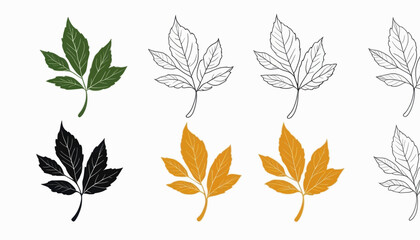 Elegant Leaf Illustrations Green Black Gold Outline Botanical Design Elements for Nature Themes