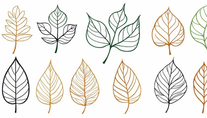 Obraz premium Elegant Line Art Leaf Designs Botanical Illustrations Nature Graphic Elements