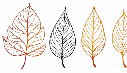 Obraz premium Elegant Autumn Leaves Design Set Botanical Illustration featuring Orange Black and Gold Leaf Line Art for Fall Decor