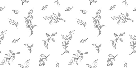 leaves pattern background. green leaves vector pattern background. Green tea leaf seamless pattern. seamless patterns with green leaves of tea.