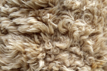 Light beige plush faux fur fabric material abstract close-up textured background