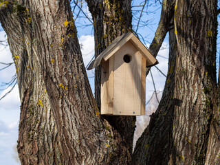 New wooden birdhouse for birds on a tree in the forest. House made of boards for incubating bird eggs 