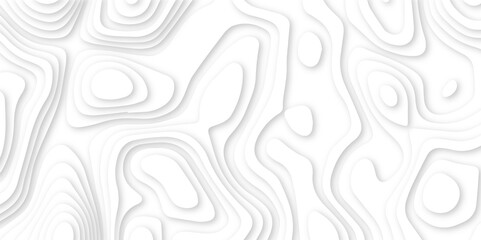 Modern White Paper cut background. Topographic map relief texture with curved layers and shadow. Wavy line drawing geometric paper art design. Multi layer cutout patterns.