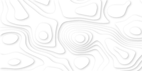 Modern White Paper cut background. Topographic map relief texture with curved layers and shadow. Wavy line drawing geometric paper art design. Multi layer cutout patterns.