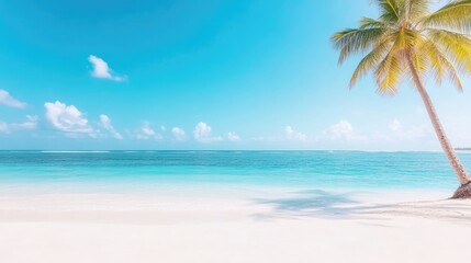 Fototapeta premium Pristine tropical beach, turquoise water, sunny sky. Palm tree on the shore. Perfect summer day