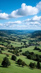 Fototapeta premium A view of a green field with trees and hills in the background