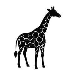 Obraz premium GroupSide Profile Silhouette Vector