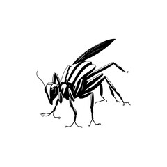 Detailed Ink Sketch of a Striped Wasp with Delicate Wings on White Canvas
