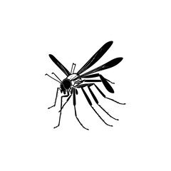 Stylized silhouette depiction of a solitary mosquito against a plain backdrop