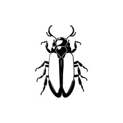 Detailed monochrome vector illustration of a stylized beetle on a white backdrop