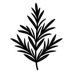 Different style rosemary design 