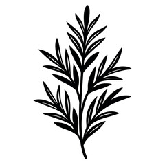 Different style rosemary design 