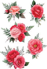 Fototapeta premium Floral clipart bundle with blooming roses and decorative leaves. Elegant flower illustrations in watercolor style for design projects. Romantic floral arrangement with pink blossoms and greenery