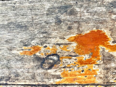 old brown rustic light bright wooden texture - wood background panorama banner long