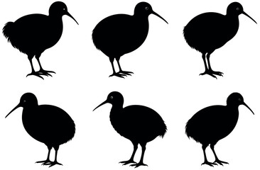 Fototapeta premium New Zealand Kiwi Bird SVG Clipart Bundle for Animal Lovers, Wildlife Silhouettes, Nature-Inspired Cricut Projects, Ornithology Printables, Flightless Bird Crafts, and Digital Bird Decorations