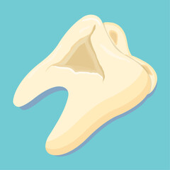 Broken molar isolated on flat background