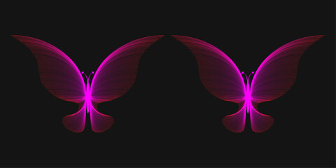 vector butterfly made of lines