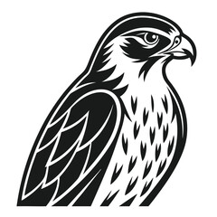 Predator Bird Silhouette Elegant Falcon Graphic