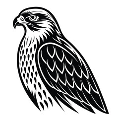 Sharp Falcon Bird Shape Minimalist Raptor Art