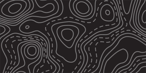 Contemporary Topographic-Inspired Art Print with Intricate Elevation Line Details and Organic Wave Motifs Set Against a Rich Black Canvas for a Bold and Luxurious Interior Accent