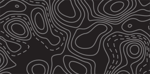 Luxury Abstract Topographic Line Map Design Featuring Elegant Wavy Contour Patterns Flowing Seamlessly Across a Deep Matte Black Background for a Sophisticated Modern Aesthetic