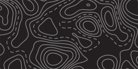 Contemporary Topographic-Inspired Art Print with Intricate Elevation Line Details and Organic Wave Motifs Set Against a Rich Black Canvas for a Bold and Luxurious Interior Accent