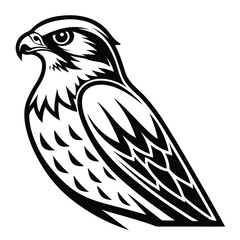 Soaring Falcon Design Minimalist Animal Emblem