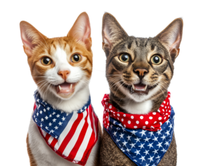 American Style Cat - Funny and cute cat in patriotic outfit, ideal for Independence Day graphics and transparent sticker elements.