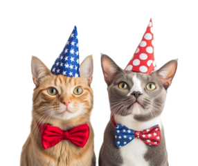 Patriotic Cat - Cute gray cat wearing an American flag hat and star sunglasses on a transparent background. Perfect for 4th of July or USA-themed designs.