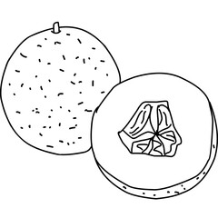 melon outline on isolated white