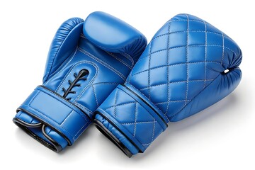 Blue boxing gloves with a quilted design, symbolizing strength and discipline.