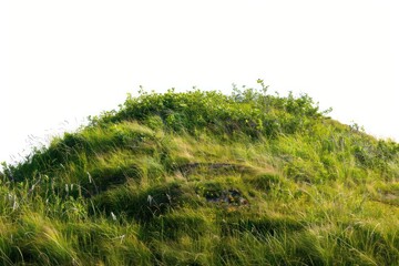 Fototapeta premium Lush green hilltop landscape