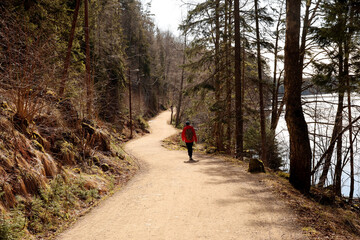 Fototapeta premium Path