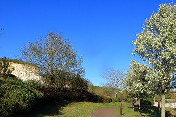 Blue sky and white cliffs at Bluewater in North Kent