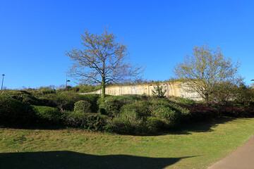 White cliffs and green bushes at Bluewater in North Kent