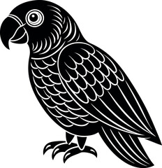 birt illustration vector art