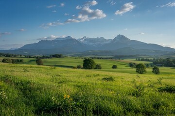 Fototapeta premium Scenic Alpine Meadow With Snowy Mountain Peaks And Blue Sky View