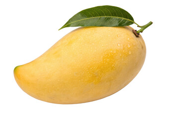 mango fruit isolated on white isolated PNG