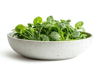 Water spinach isolated on white background