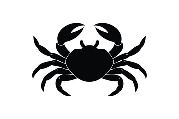 crab on white background