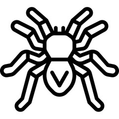 vector illustration of a spider outline icon