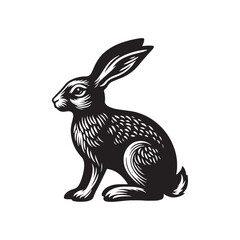 Hare Vector - Minimalist Hare Design - Hare Vector - Illustration of Hare.