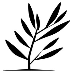 black silhouette of plant